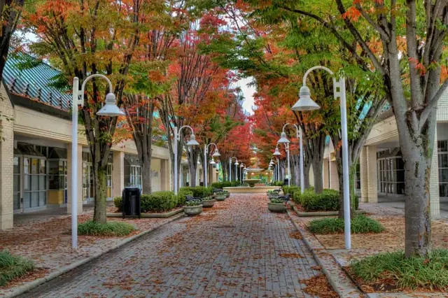 Pavers