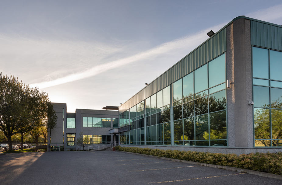 Modern office building with expansive glass windows surrounded by lush greenery, showcasing exterior renovation; ideal for commercial services under a clear sky.