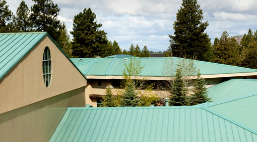 Innovative green roof building surrounded by trees under partly cloudy sky, highlights exterior renovation services.