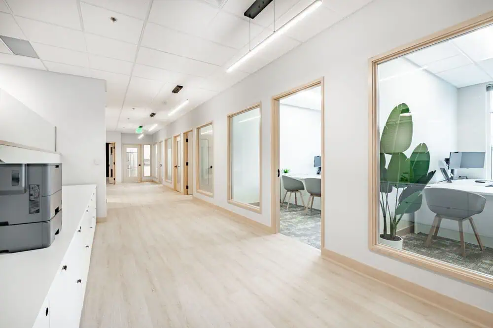 Modern office hallway renovation with light wood floors, large windows, finished drywall, furnished meeting rooms, and interior design elements in Rockville MD.